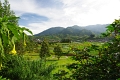 Dieng Plateau 21_10_2010 (2)